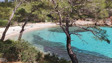 In Traumbucht Auf Mallorca Mann St Rzt Aus Vier Metern H He Auf Einen