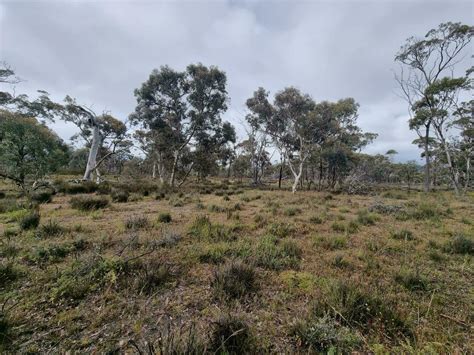 Australian Outback Wilderness 25932736 Stock Photo at Vecteezy