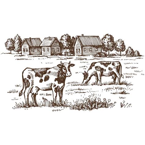 Cows Grazing on Meadow Hand Drawn Illustration - Free Vector