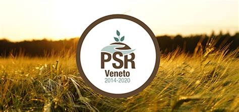 Psr Veneto Aperti I Nuovi Bandi Milioni Di Euro Per Giovani E