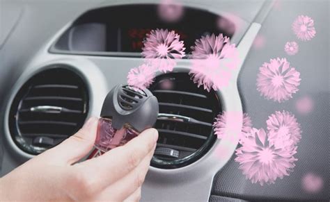 Best Car Air Fresheners To Make Your Vehicle Smell Good At All Times