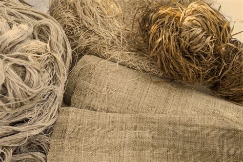 The History of Hemp. — Silver Lion Farms