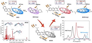 Excellent Ratiometric Two Photon Fluorescent Probes For Hydrogen