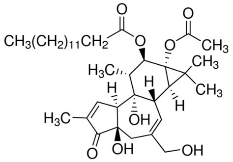 Phorbol Myristate Acetate Pma Tpa Synthetic