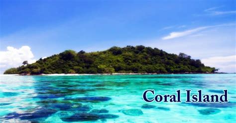 Coral Island - Assignment Point