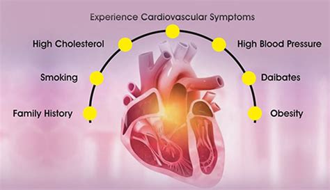 Best Cardiology Doctor near me - Book Instant Appointment - Chellaram ...