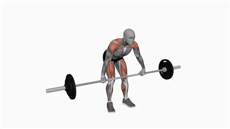 Mastering The Basics A Beginner S Guide To The Barbell Power Clean