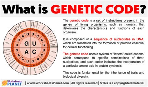 What is Genetic Code?