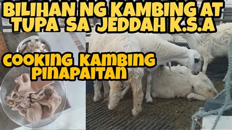 Bilihan Ng Kambing At Tupa Sa Jeddah Saudi Arabia Looking For Goat