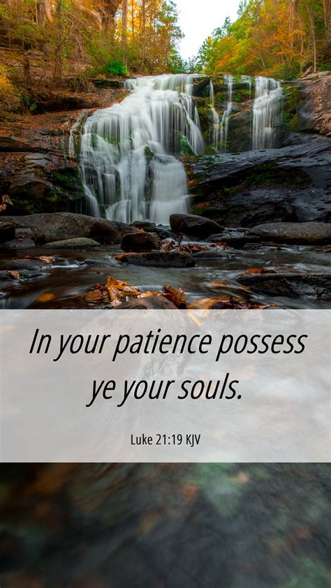 Luke 2119 Kjv Mobile Phone Wallpaper In Your Patience Possess Ye Your