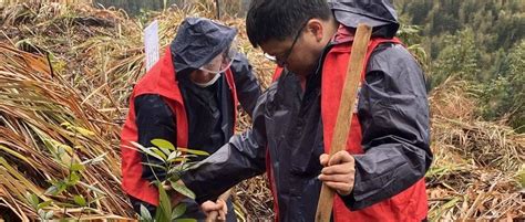 新春上班第一天 植树添绿开新篇虎年开工第一天工作建设