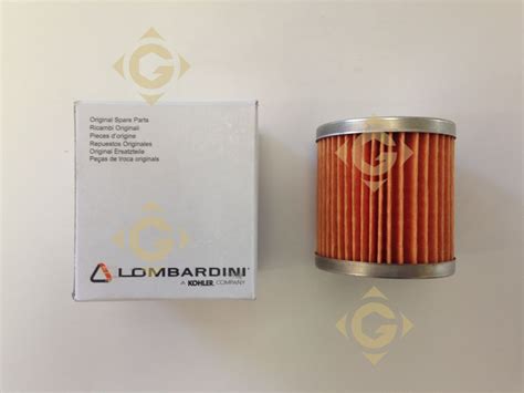 Fuel Filter Cartridge Engines Lombardini Gdn Industries