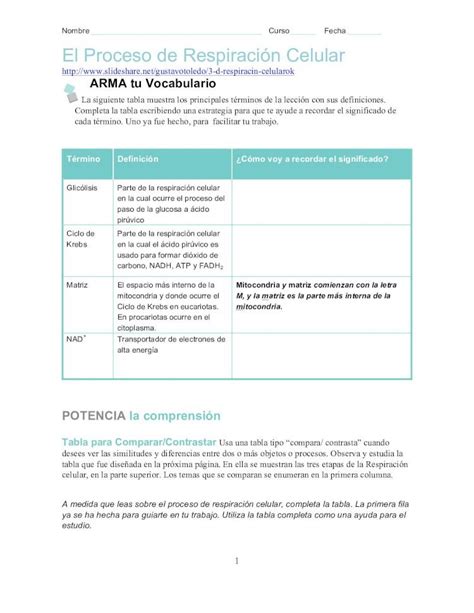 El proceso de respiración celular Guía para Primero medio SFC o