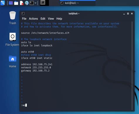 Kali Linux Ip