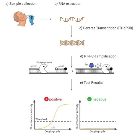 Pcr