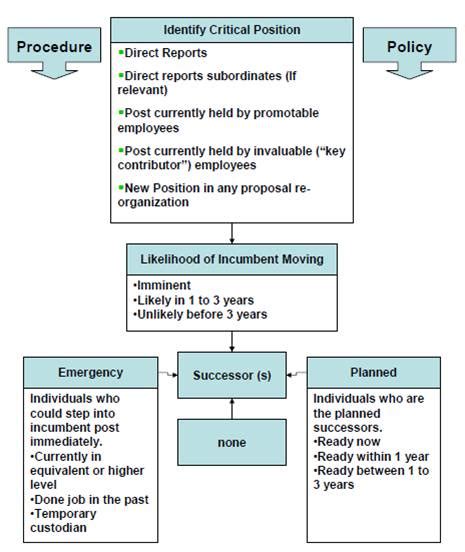 e-HRM Inc: HR Process: Succession Plan