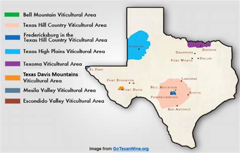 Texas Hill Country Wine Map - Daryl Emiline