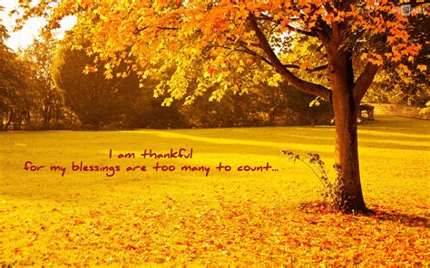 Fall Thanksgiving Wallpaper 60 Images