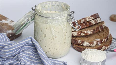 From-Scratch Sourdough Starter Recipe