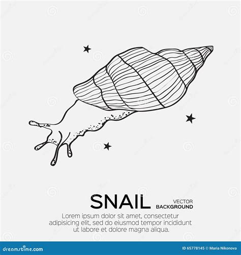 Monochrome Silhouette Of Snail Drawing Outline Cartoon Vector