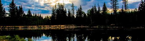 Aspen Mirror Lake Duck Creek Village Utah Visit Duck Creek