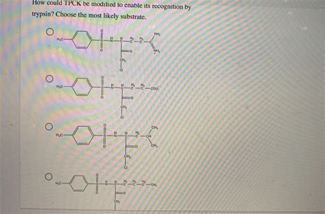 Solved N Tosylamido L Phenylethyl Also Called Tosyl Chegg