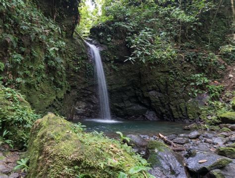 Premium Photo | Waterfalls in the national park of santa fe in panama