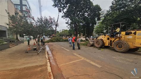 Corte de árvore gigante interdita o trânsito em trecho da avenida