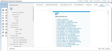 introduction  crm cc  hybris workflow programmer sought