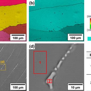 Ebsd A Ipf And B Phase Maps With Iq Of The Ti Ni O Sample C