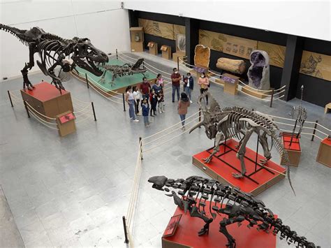 Museos En Cdmx Donde Puedes Ver F Siles Y Dinosaurios