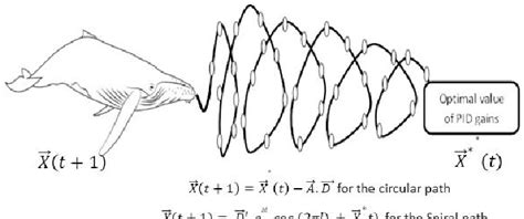 Bubble net feeding behavior of humpback whales | Download Scientific ...