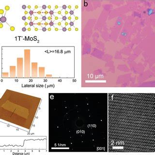 Thicknessdependent Transport Properties For 1TMoS2 Nanosheets A