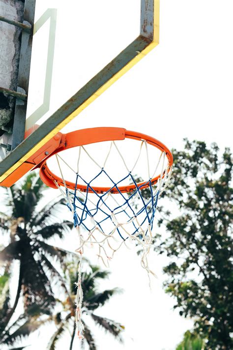 Shallow Focus Photography of Black Metal Outdoor Basketball Hoop · Free Stock Photo