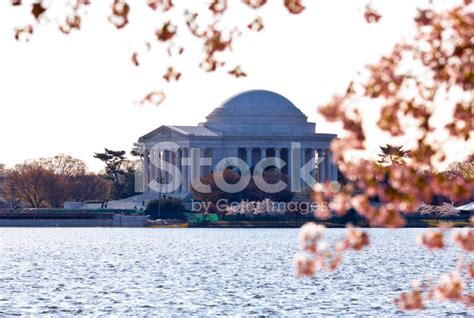 Cherry Blossom And Jefferson Memorial Stock Photo | Royalty-Free ...