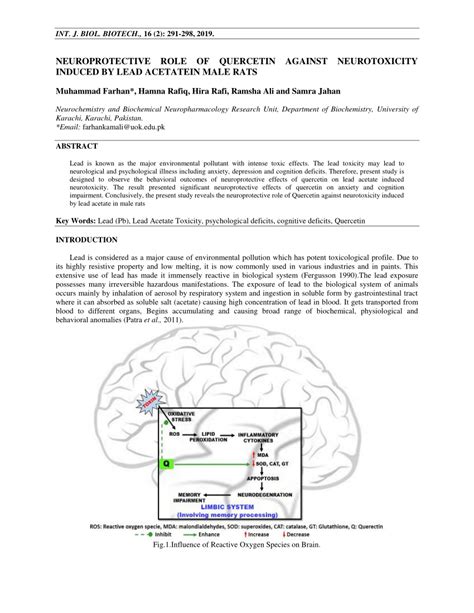 Pdf Neuroprotective Role Of Quercetin Against Neurotoxicity Induced