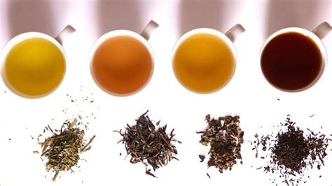 Ganas de un té 20 hierbas para hacer infusiones caseras