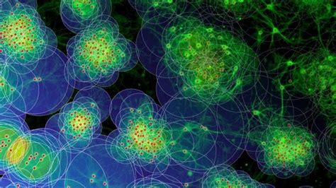 The Space Time Fabric Of Brain Networks Neuroscientists Decode