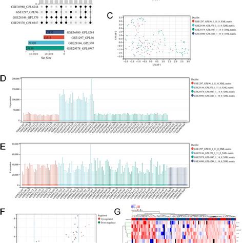 Heatmaps Of The Correlation Between Alzheimers Disease AD Related