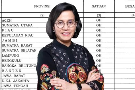 RESMI DITETAPKAN Sri Mulyani Bagikan Tunjangan Tambahan Kepada PNS Di