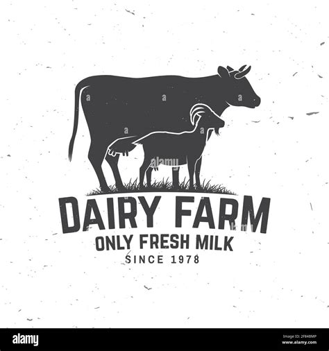 Dairy Farm Only Fresh Milk Badge Logo Vector Typography Design With