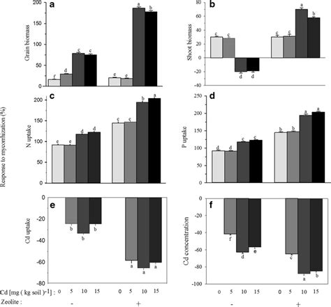 Percentage response of grain yield (A), shoot (i.e., straw and grain ...