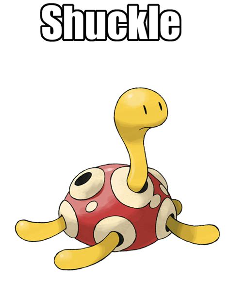 Lets Talk About Pokemon — Lets Talk About Pokemon Shuckle