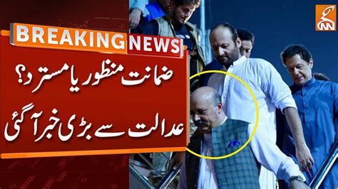 Bail Approved Or Rejected Big News Came From Court Imran Khan