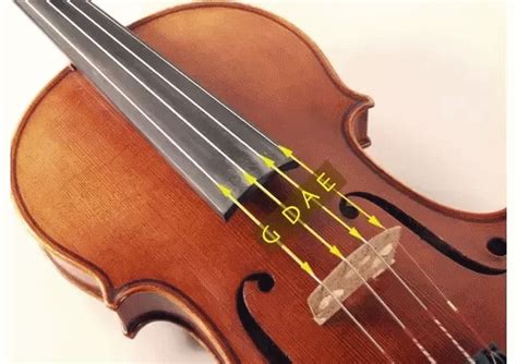 Korupcja Komora Haiku Cuales Son Las Cuerdas Del Violin Paliwo Opiat Podziw