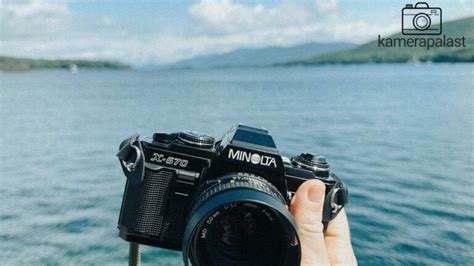 Unterwasser Fotografieren Dein Guide Für Perfekte Aufnahmen Unter Wasser