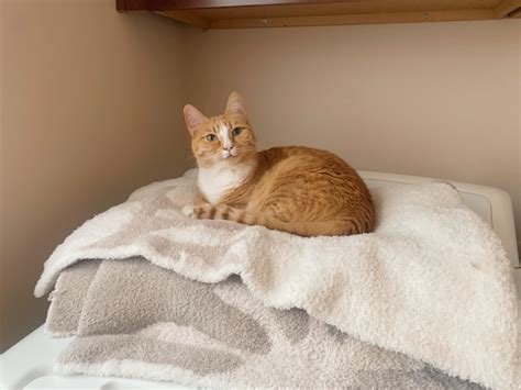 1294 Best Laundry Room Images On Pholder Mildlyinfuriating Room Porn And Organization Porn