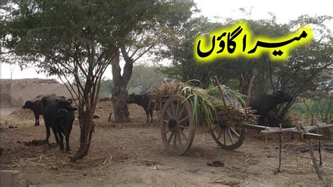 Khubsurat Gaon Ki Sair Village Life Natural Scenes Pakistani Rural