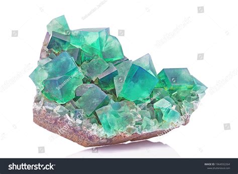 Amazing Macro Closeup Green Blue Rare Stock Photo Shutterstock