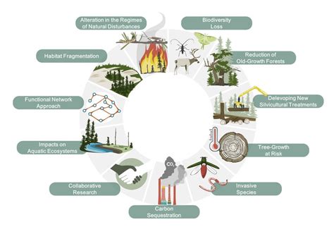 The challenges facing boreal forests under global climate change ...